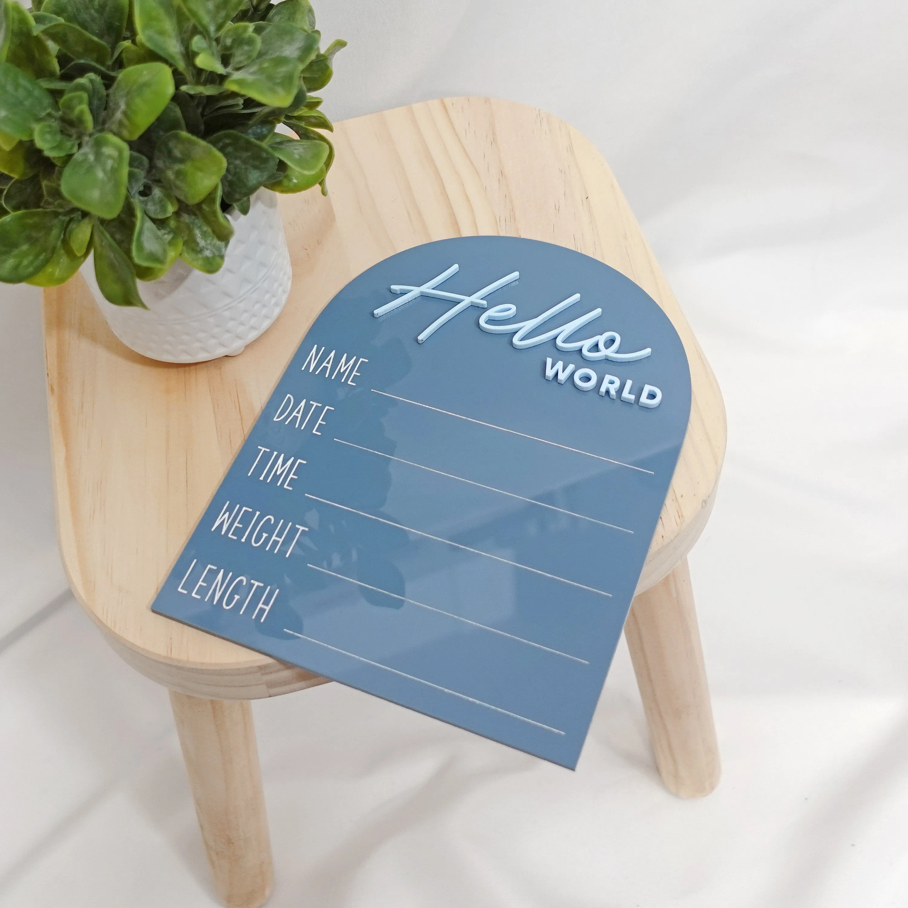 Hello World Baby Announcement Sign