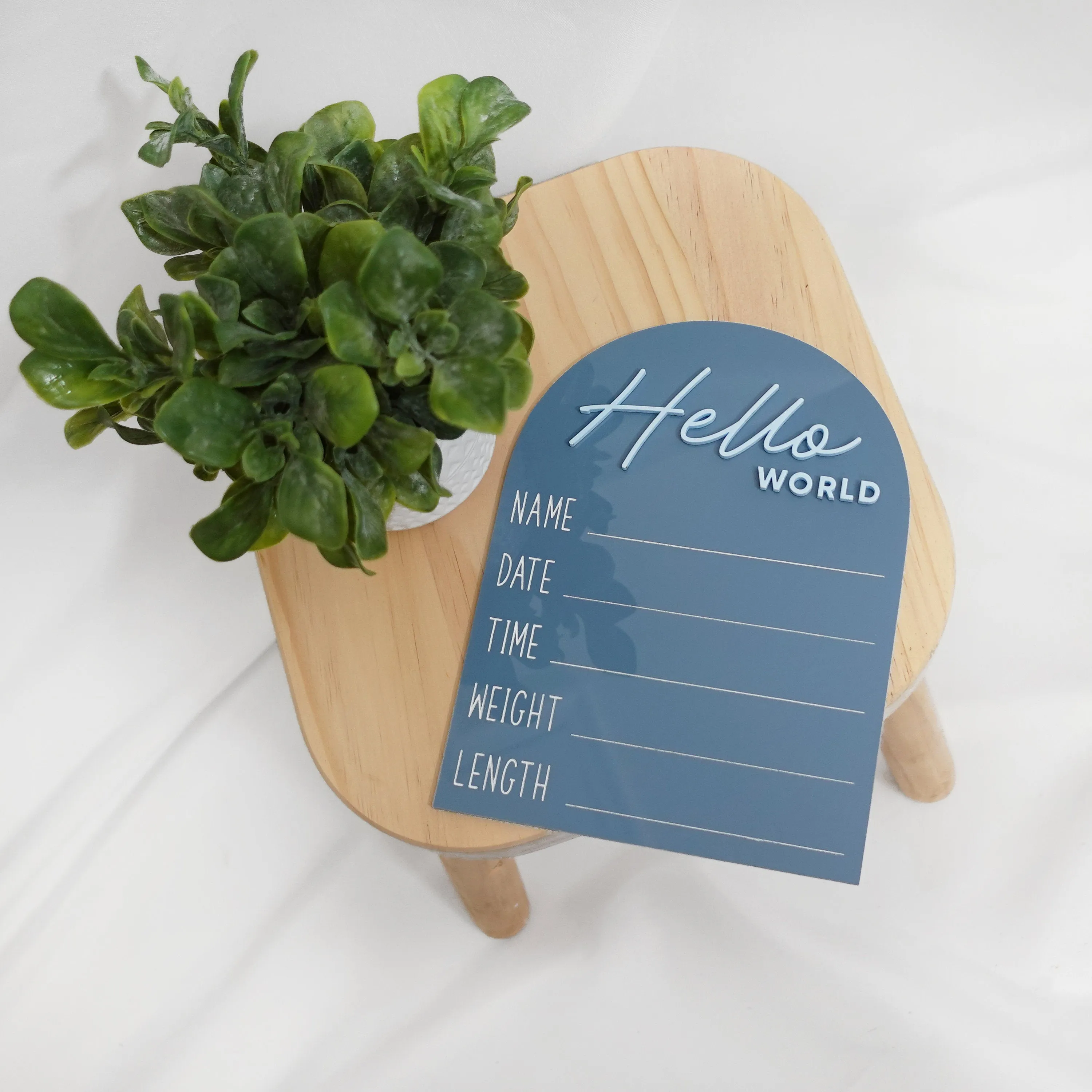 Hello World Baby Announcement Sign