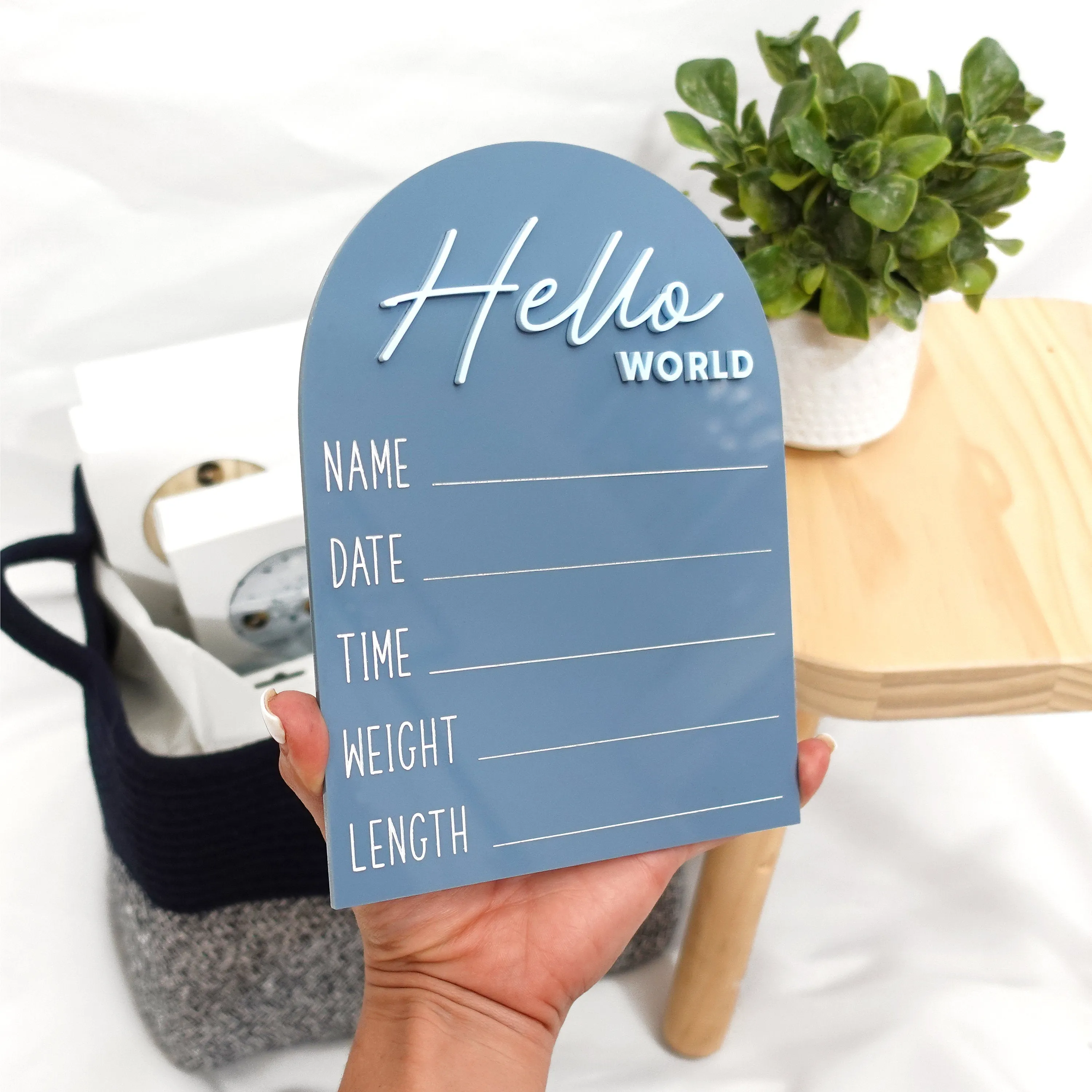 Hello World Baby Announcement Sign