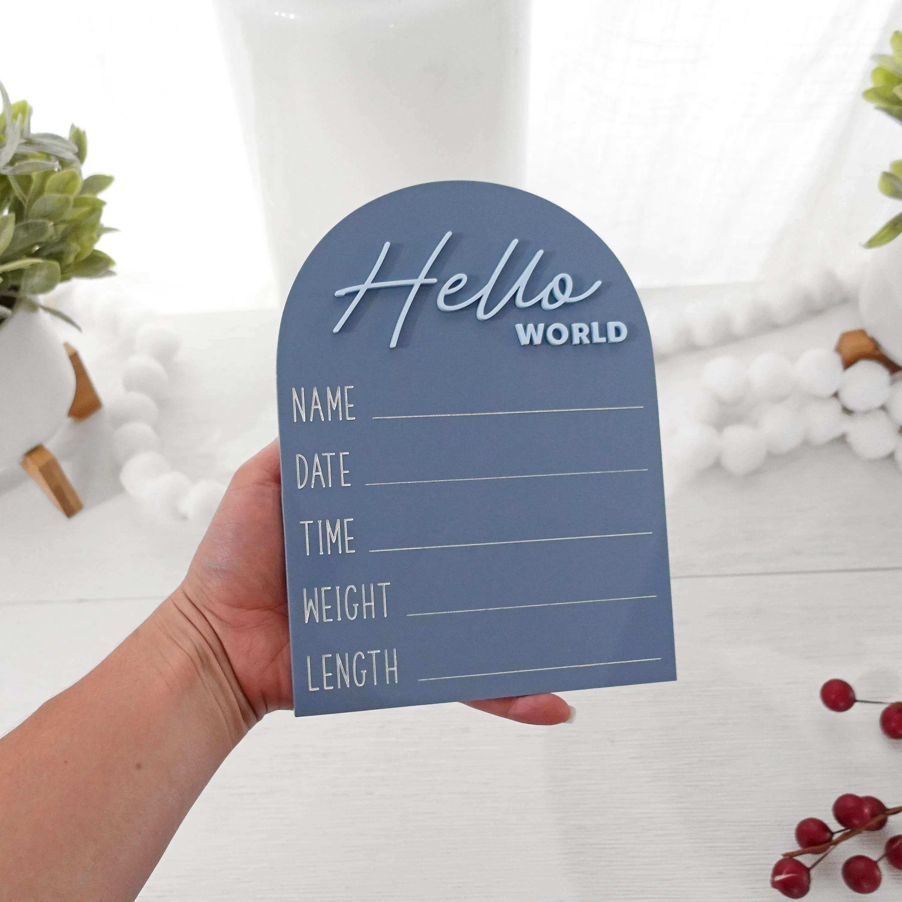 Hello World Baby Announcement Sign