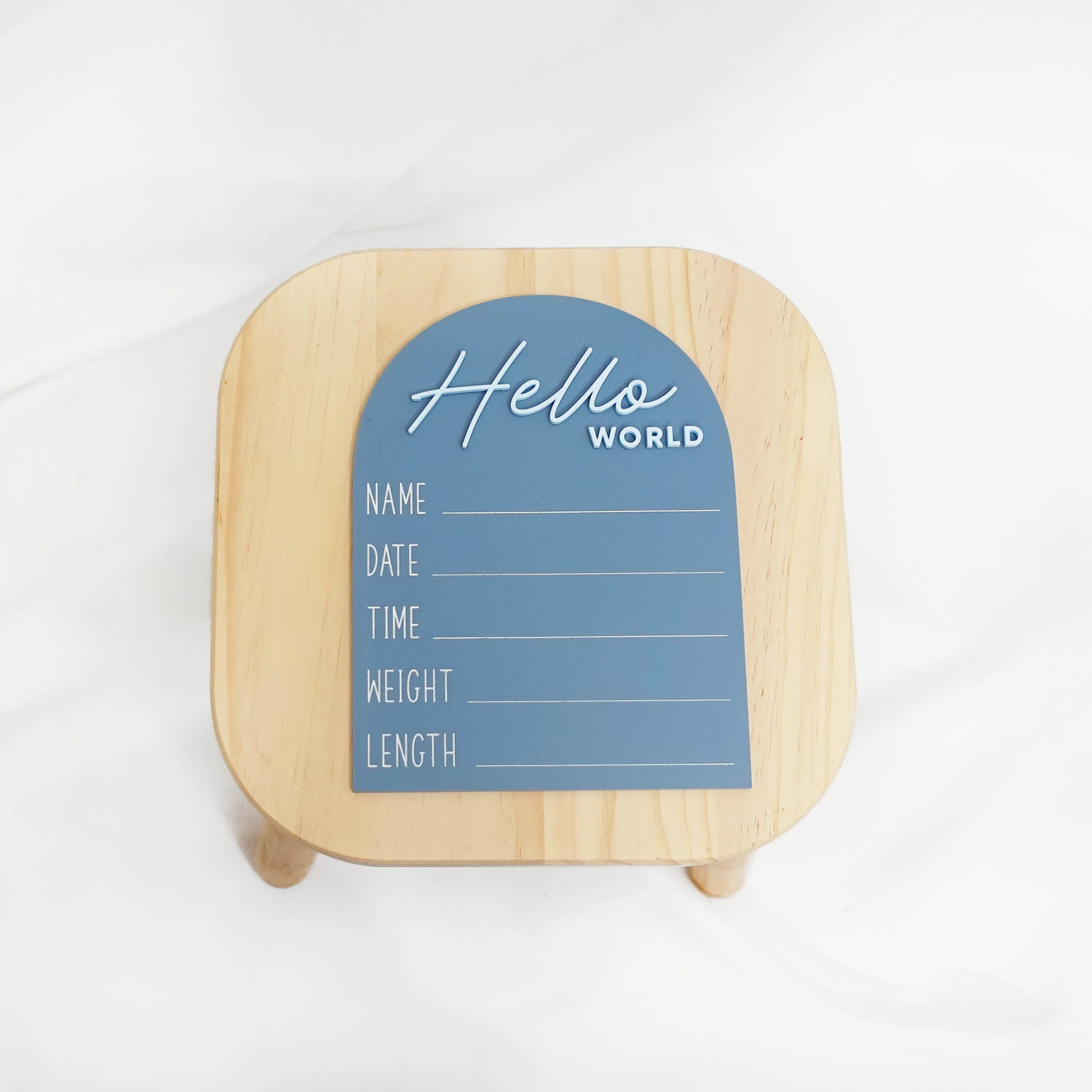 Hello World Baby Announcement Sign